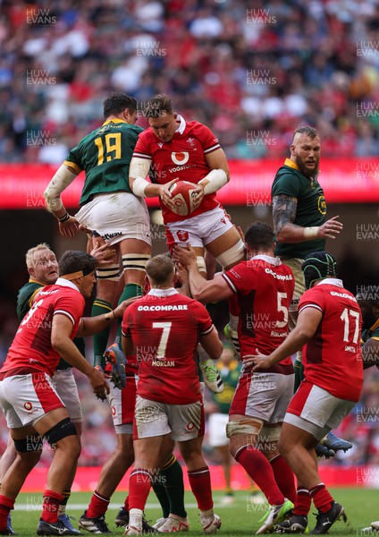 190823 - Wales v South Africa, Summer Nations Series 2023 - Taine Basham of Wales wins the line out