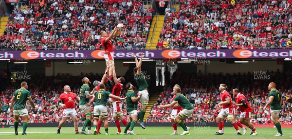190823 - Wales v South Africa, Summer Nations Series 2023 - Wales and South Africa contest a line out during the first half