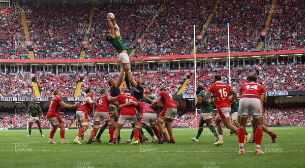 190823 - Wales v South Africa, Summer Nations Series 2023 - Franco Mostert of South Africa claims the line out ball as the Principality Stadium crowd look on