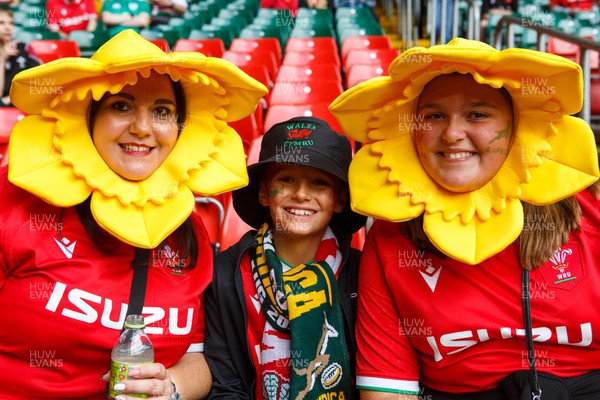 190823 - Wales v South Africa - Summer Series - Wales fans before the match