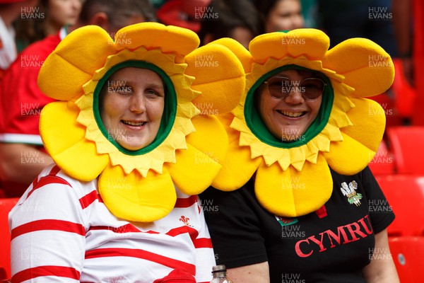 190823 - Wales v South Africa - Summer Series - Wales fans before the match