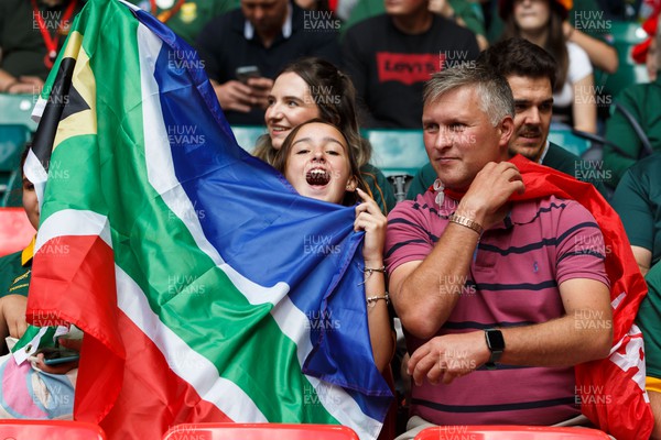 190823 - Wales v South Africa - Summer Series - A South Africa fan before the match