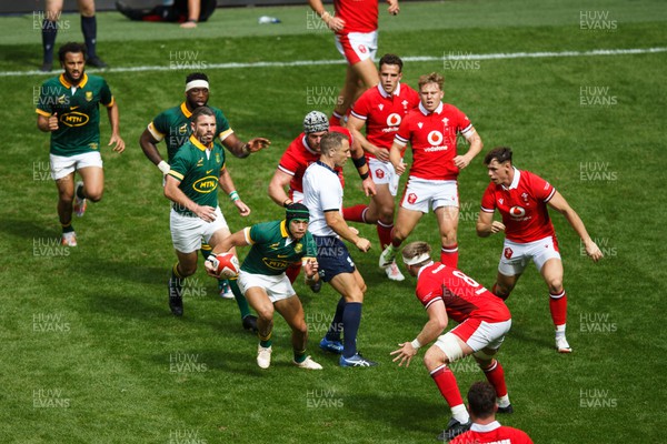 190823 - Wales v South Africa - Summer Series - Cheslin Kolbe of South Africa looks for a gap