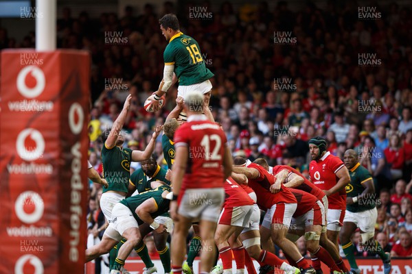 190823 - Wales v South Africa - Summer Series - Franco Mostert of South Africa wins a lineout