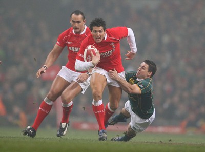 Wales v South Africa 241107