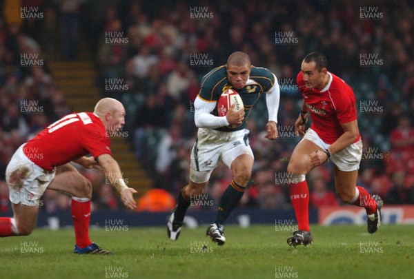 24.11.07 - Wales v South Africa South Africa's Bryan Habana tries to beat Wales' Tom Shanklin and Sonny Parker 