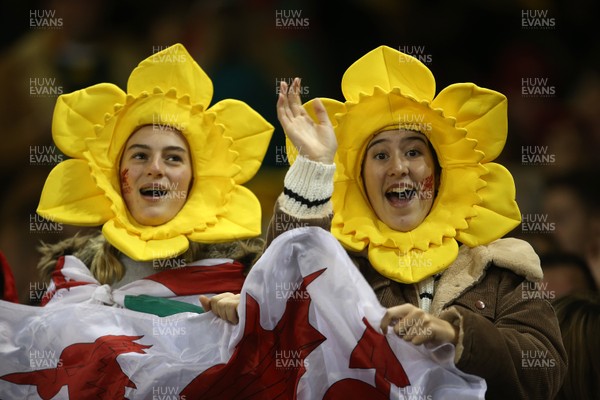 241118 - Wales v South Africa - Under Armour Series - Fans