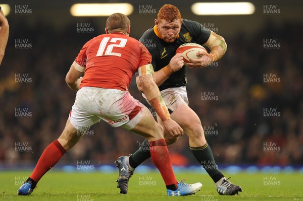 241118 - Wales v South Africa - Under Armour Series -  Steven Kitshoff of South Africa 
