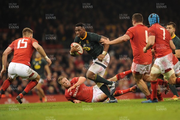 241118 - Wales v South Africa - Under Armour Series -  Siya Kolisi of South Africa 