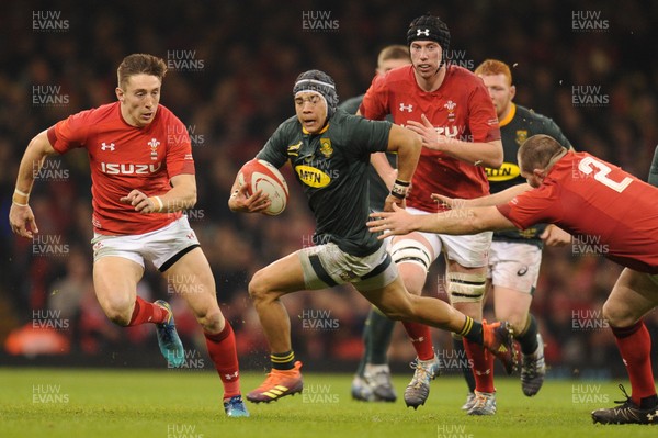 241118 - Wales v South Africa - Under Armour Series -  Cheslin Kolbe of South Africa 