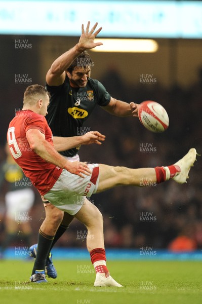 241118 - Wales v South Africa - Under Armour Series - Gareth Davies of Wales 