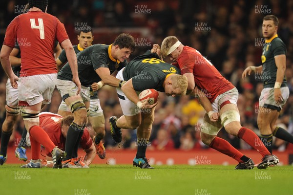 241118 - Wales v South Africa - Under Armour Series - Vincent Koch of South Africa is tackled by Aaron Wainwright of Wales 
