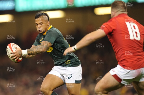 241118 - Wales v South Africa - Under Armour Series - Elton Jantjies of South Africa 