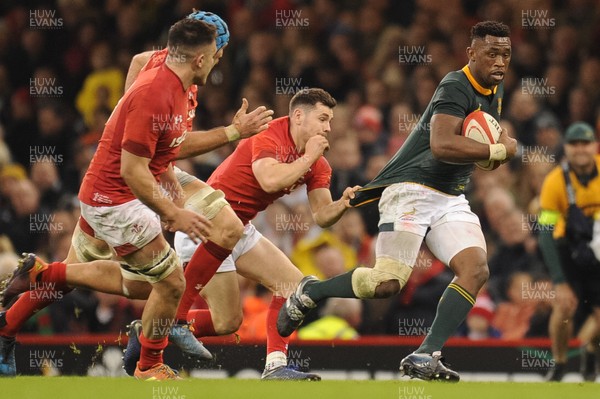 241118 - Wales v South Africa - Under Armour Series - Siya Kolisi of South Africa 