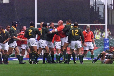 Wales v South Africa 260699