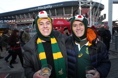 Wales v South Africa 261116