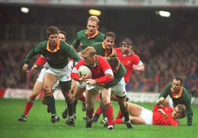 Wales v South Africa 261194