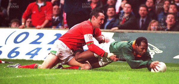 261194 - Wales v South Africa - Chester Williams of South Africa dives over for the winning try despite the tackle of Rupert Moon 