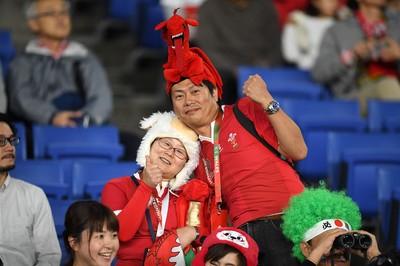 271019 - Wales v South Africa - Rugby World Cup Semi-Final - Wales fans