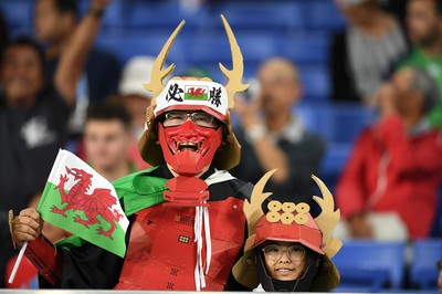 271019 - Wales v South Africa - Rugby World Cup Semi-Final - Wales fans