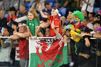 271019 - Wales v South Africa - Rugby World Cup Semi-Final - Wales fans