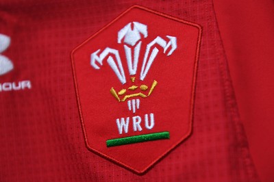 271019 - Wales v South Africa - Rugby World Cup Semi-Final - Wales dressing room