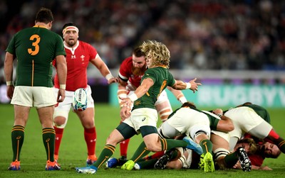 271019 - Wales v South Africa - Rugby World Cup Semi-Final - Faf de Klerk of South Africa