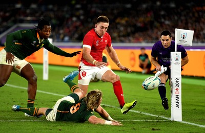 271019 - Wales v South Africa - Rugby World Cup Semi-Final - Josh Adams of Wales and Faf de Klerk of South Africa compete for lose ball