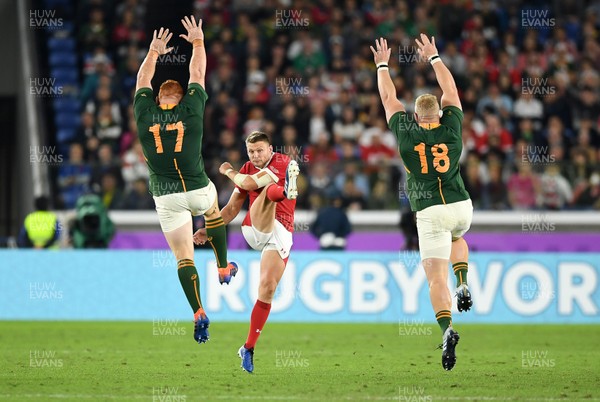 271019 - Wales v South Africa - Rugby World Cup Semi-Final - Dan Biggar of Wales kicks the ball high
