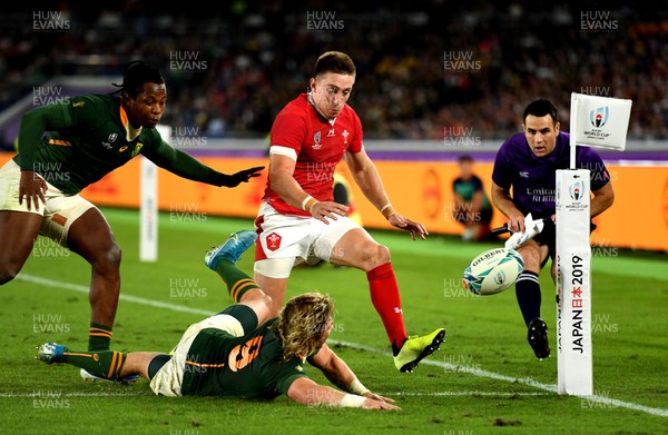 271019 - Wales v South Africa - Rugby World Cup Semi-Final - Josh Adams of Wales and Faf de Klerk of South Africa compete for lose ball