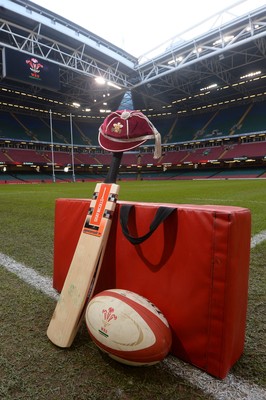 291114 - Wales v South Africa - Dove Men Series -A cricket bat is propped up with a WRU cap on it in remembrance of Australian cricketer Phil Hughes at the Millennium Stadium