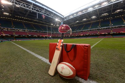 291114 - Wales v South Africa - Dove Men Series -A cricket bat is propped up with a WRU cap on it in remembrance of Australian cricketer Phil Hughes at the Millennium Stadium