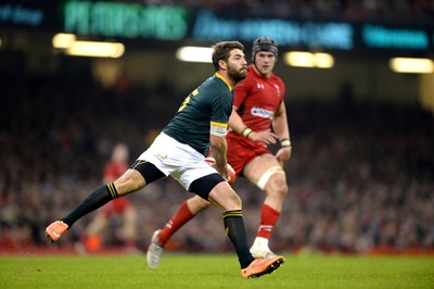 291114 - Wales v South Africa - Dove Men Series -Willie le Roux of South Africa