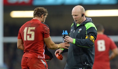 291114 - Wales v South Africa - Dove Men Series -Leigh Halfpenny and Neil Jenkins