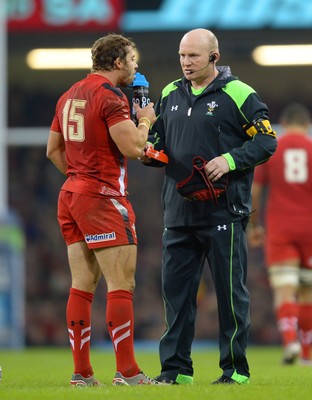 291114 - Wales v South Africa - Dove Men Series -Leigh Halfpenny and Neil Jenkins