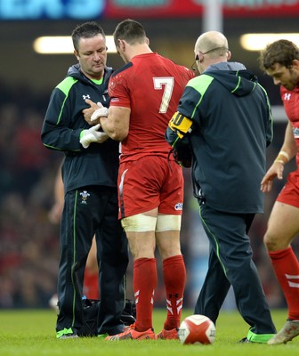 291114 - Wales v South Africa - Dove Men Series -Geoff Davies and Sam Warburton