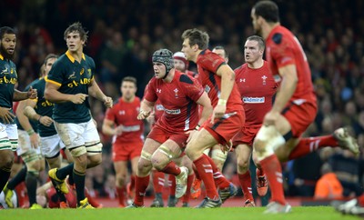 291114 - Wales v South Africa - Dove Men Series -Dan Lydiate