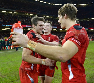 291114 - Wales v South Africa - Dove Men Series -Dan Biggar, Jonathan Davies and Liam Williams of Wales celebrates win