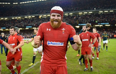 291114 - Wales v South Africa - Dove Men Series -Jake Ball of Wales celebrates win