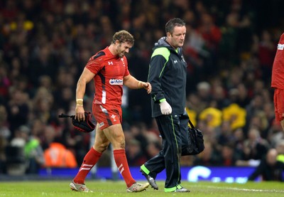 291114 - Wales v South Africa - Dove Men Series -Leigh Halfpenny of Wales leaves the field with Doctor Geoff Davies