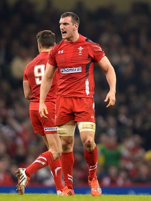 291114 - Wales v South Africa - Dove Men Series -Sam Warburton of Wales celebrates a penalty decision