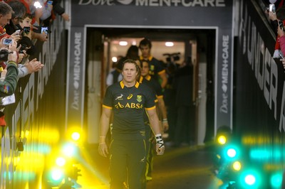 291114 - Wales v South Africa - Dove Men Series -Jean de Villiers of South Africa leads out his side