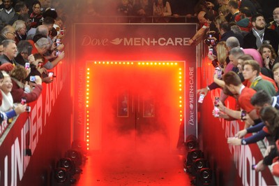 291114 - Wales v South Africa - Dove Men Series -Tunnel Branding