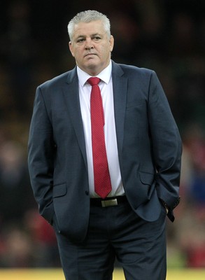 291114 - Wales v South Africa - Dove Men Series - Wales Coach Warren Gatland 