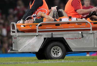 291114 - Wales v South Africa - Dove Men Series - Jean de Villiers of South Africa leaves the pitch injured