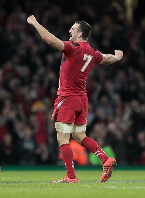 291114 - Wales v South Africa - Dove Men Series - Sam Warburton of Wales celebrates at full time