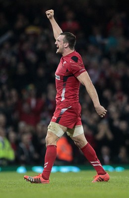 291114 - Wales v South Africa - Dove Men Series - Sam Warburton of Wales celebrates at full time