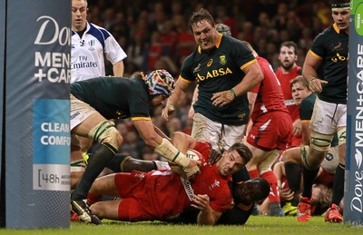 291114 - Wales v South Africa - Dove Men Series - Rhys Webb of Wales comes close to the line