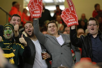 291114 - Wales v South Africa - Dove Men Series - Fans enjoy the games atmosphere 