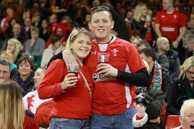 291114 - Wales v South Africa - Dove Men Series - Fans enjoy the games atmosphere 